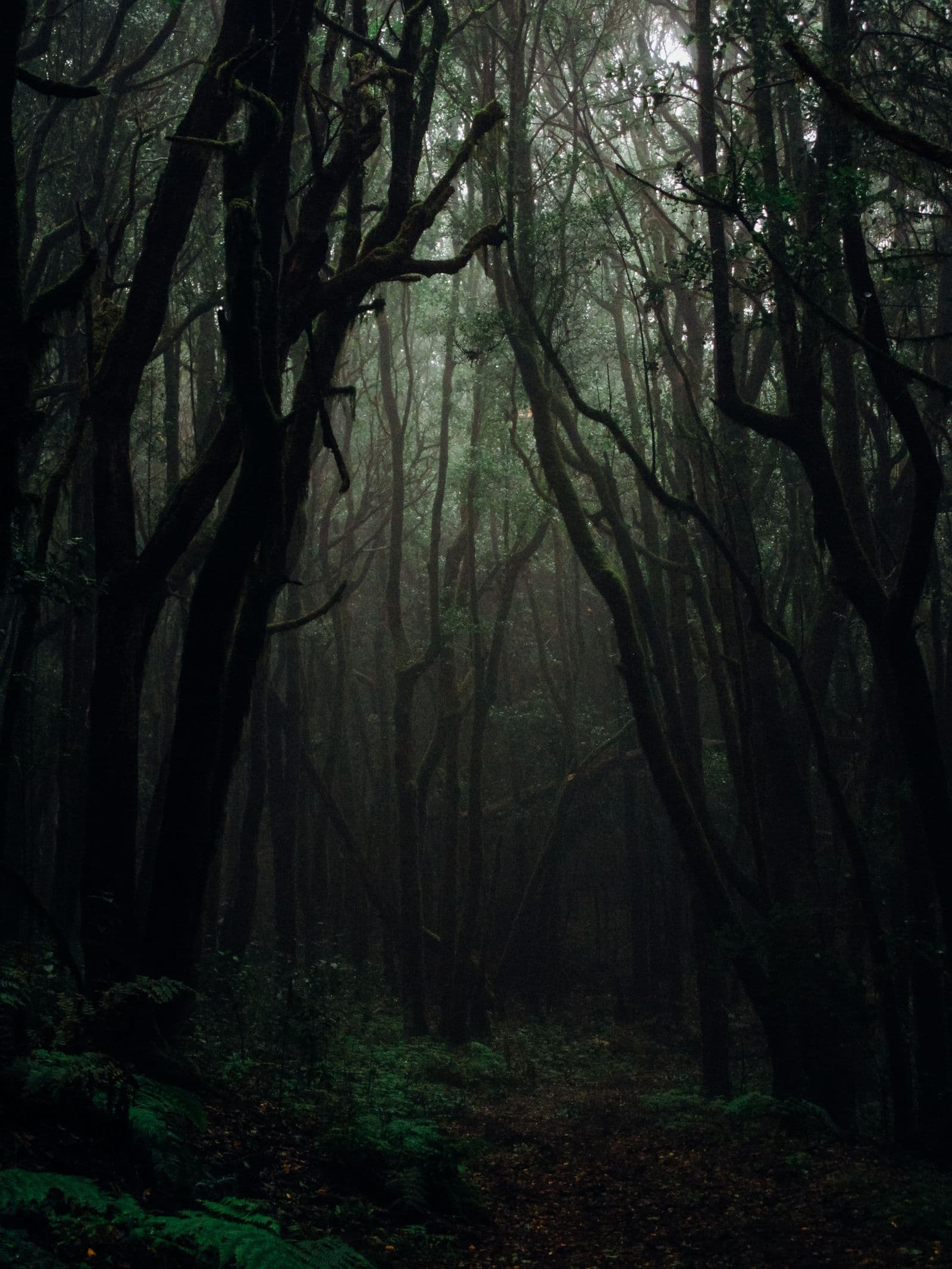 An open natural landscape